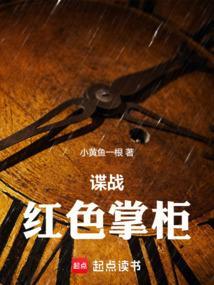 谍战:红色掌柜 谍战:红色掌柜